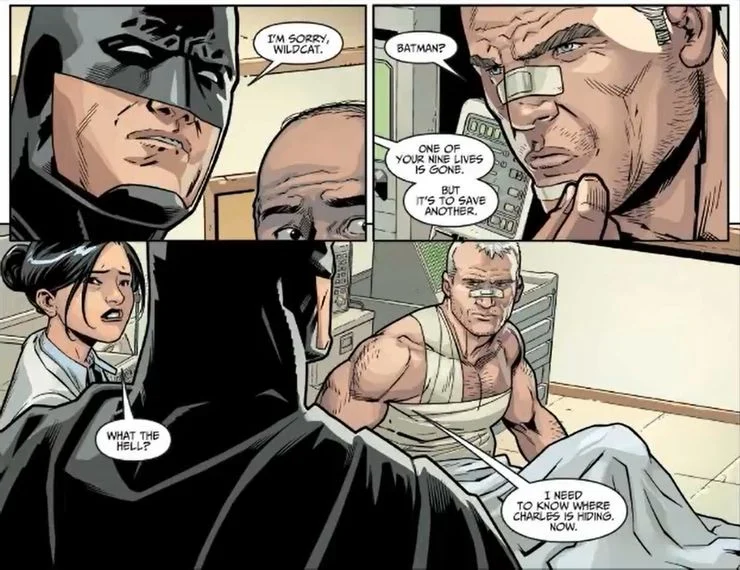 Batman; Injustice; DC Comics; Pantera
