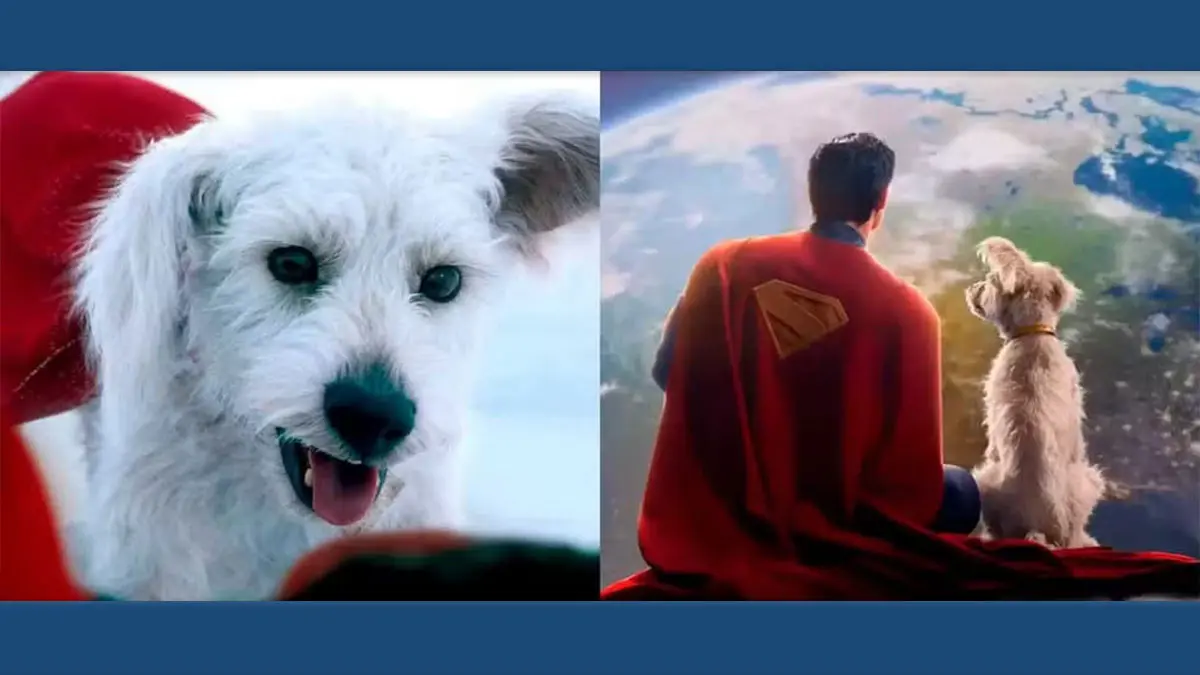 Superman: Novo pôster do filme foca no Krypto, o Supercão