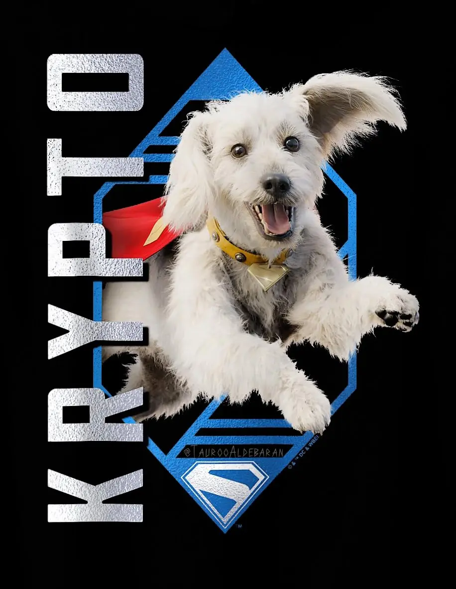 superman pôster com o krypto